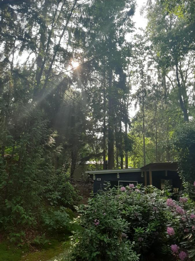 De Boshut Vledder Hotel ภายนอก รูปภาพ